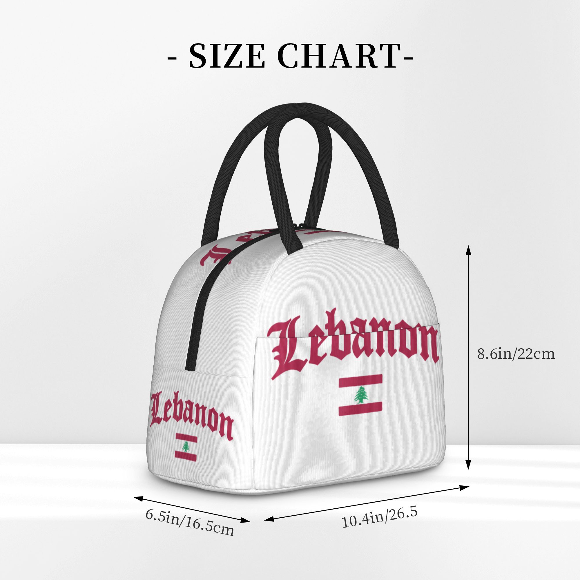 레바논 국기 절연 도시락 가방 쿨러 가방 재사용 가능  - Women Bags Lebanon 리뷰 및 가격